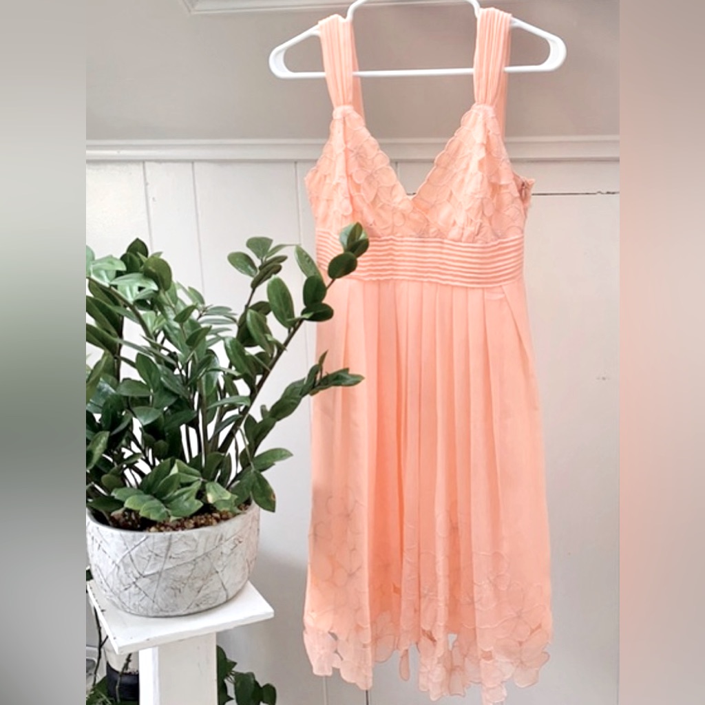 Antonio Melani Sleeveless Airy Peach Bloom V-Neck Embroidered Lace Crepe Dress